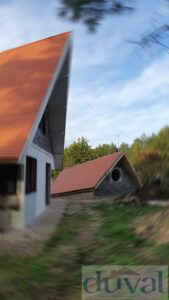 plouvier120201218_174116