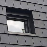 11129530_1612928932276643_3742873712902871713_n